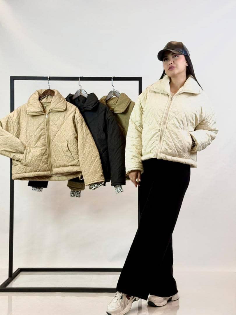 WhatsApp Image 2025-11-17 at 12.56.21